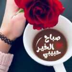 صباح الخير للحبيب بالصور
