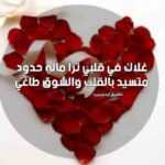 شعر مدح في شخص غالي