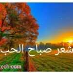 شعر صباح الحب 5 أشعار صباحية مليئة بالحب والغرام 2