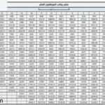 رواتب الموظفين بعد الخصخصة سلم الرواتب والعلاوات السنوية للموظفين بعد الخصخصة 1