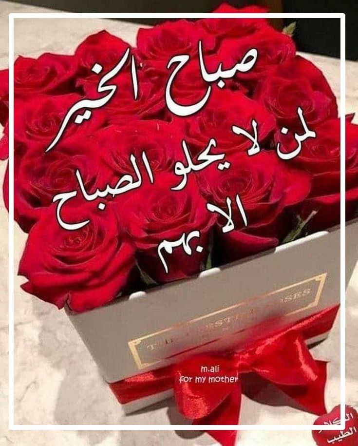 صباح الورد وعطره اجمل عبارات صباح الورد 2024