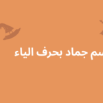 اسم جماد بحرف الياء