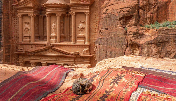 بنية المنصات الرقمية التي تشكّل منظومات الكازينوهات الإلكترونية في الشرق الأوسط